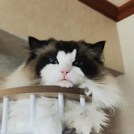 Firmament于2022-11-18 11:50发布的图片