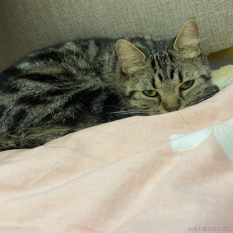 avavaava于2022-11-24 02:00发布的图片