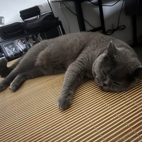 bellaQAQ于2023-06-20 08:57发布的图片