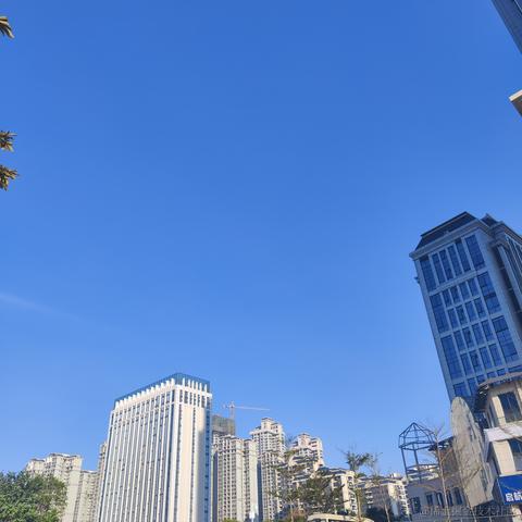 媛媛啊9813于2023-12-07 08:57发布的图片