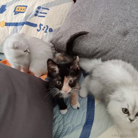 我要跟晚晚结婚于2022-12-08 12:17发布的图片