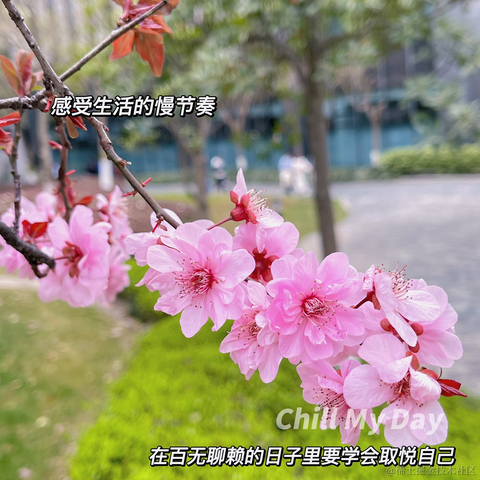 秦始皇的王于2023-03-15 13:39发布的图片