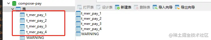 支付流水分表
