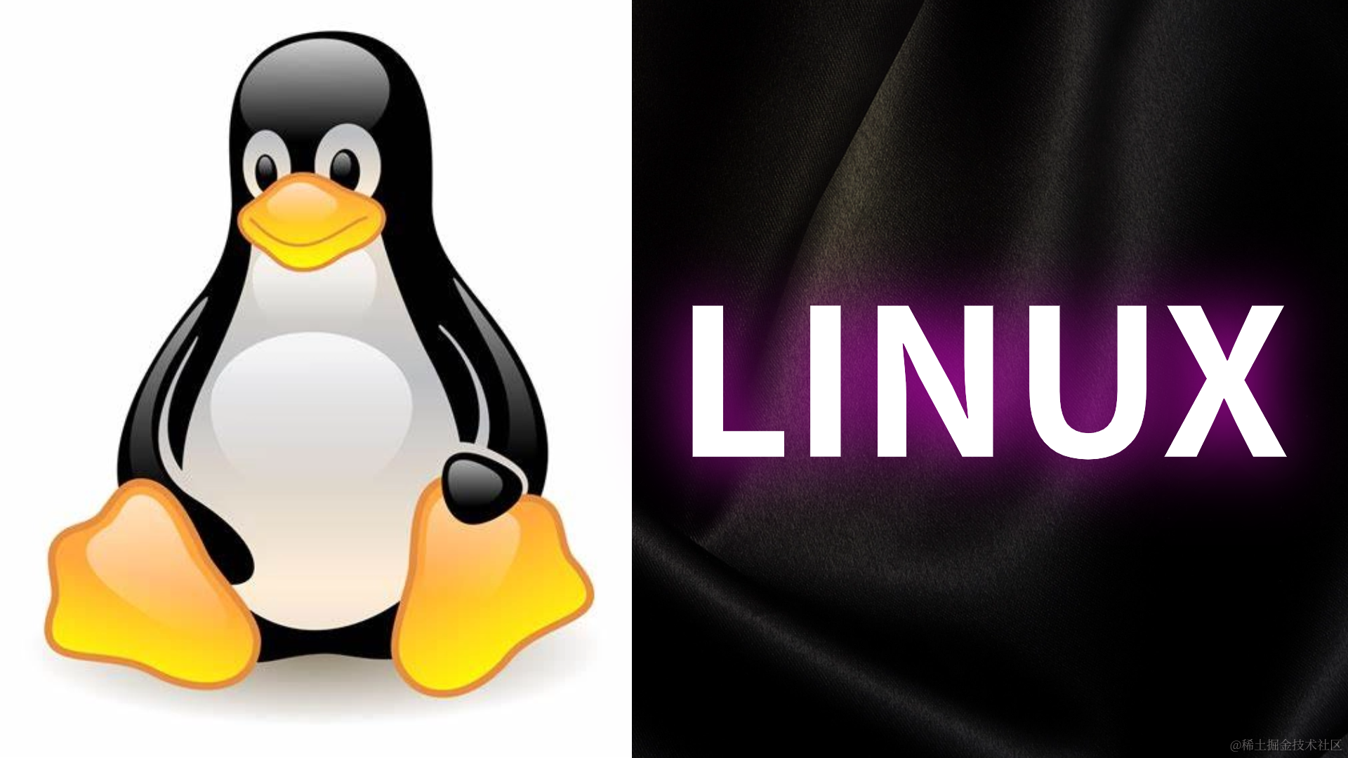 Linux常用命令大全