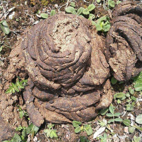 已注销于2022-02-25 10:11发布的图片