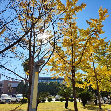 晚晚的水母小挂件于2022-12-06 20:10发布的图片