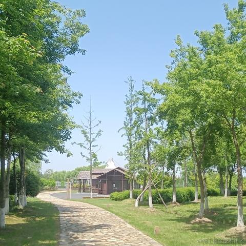 浮途途于2023-04-30 18:51发布的图片