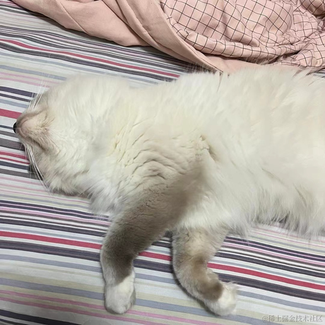 extrastu于2021-09-26 08:56发布的图片