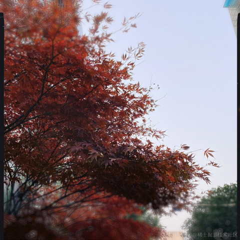 宁在春于2022-12-11 20:54发布的图片