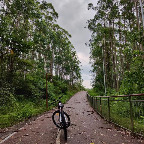 媛媛啊9813于2024-05-04 05:44发布的图片