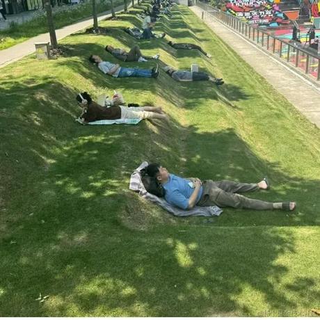 Long_For_Freedom于2024-07-09 15:40发布的图片