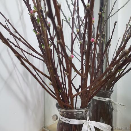 春日部防卫队队长于2022-03-05 22:09发布的图片