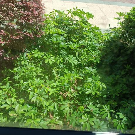 依家恰晚饭于2023-07-11 14:19发布的图片