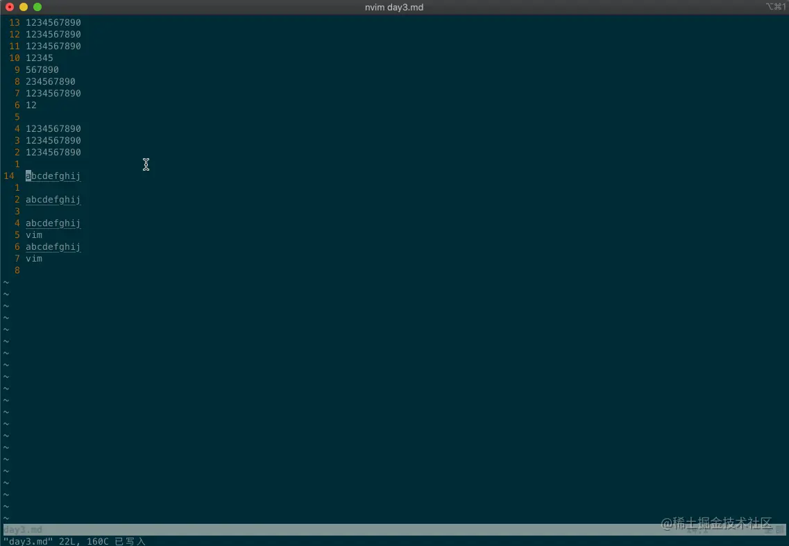 vim.day3.redo-undo.gif