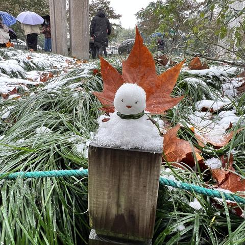 林夕lucky于2022-12-01 14:42发布的图片