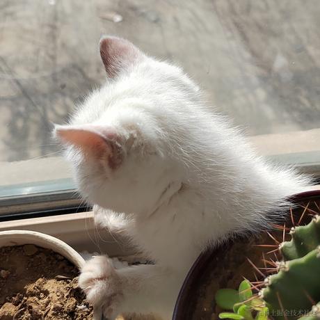 薄岁于2022-12-17 10:33发布的图片