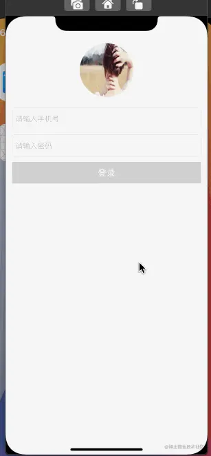 logindemo.gif
