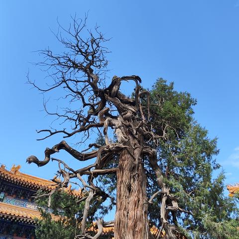 沅芷湘兰于2022-08-12 09:48发布的图片