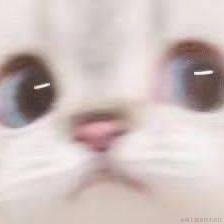 Having于2021-10-29 10:14发布的图片