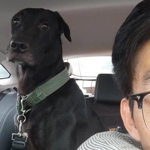 猿中吕布于2023-03-31 10:19发布的图片
