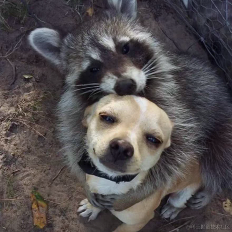 MisterBlank于2022-01-15 14:46发布的图片