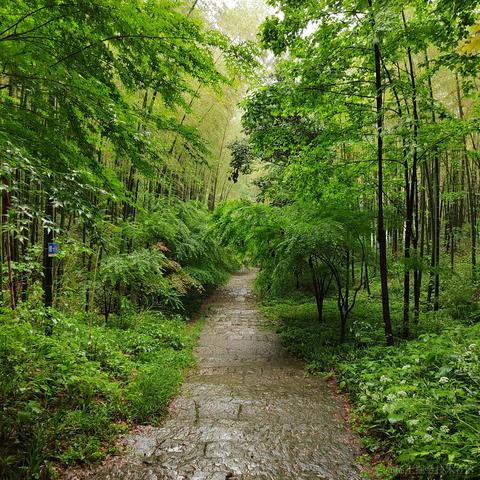 Sarah_于2024-04-23 11:46发布的图片