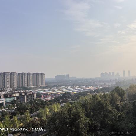 小小喵于2023-10-21 09:27发布的图片