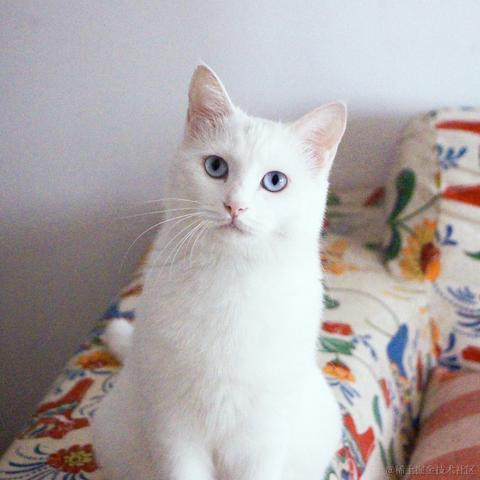 Susie_女子于2021-09-14 19:45发布的图片