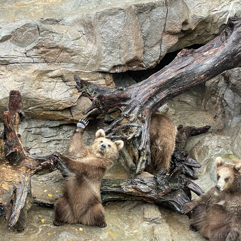 我是个靓崽于2023-04-23 22:39发布的图片