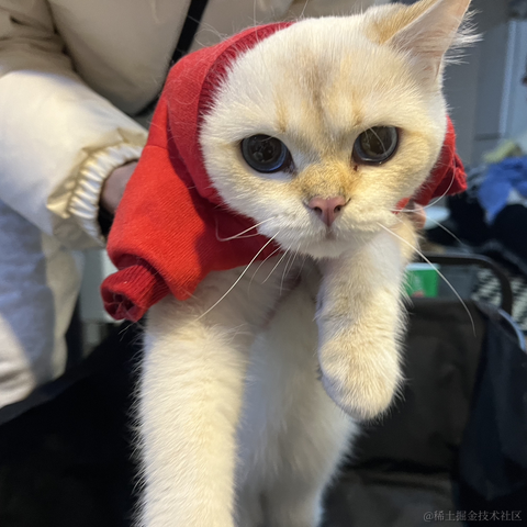 我不是KFC于2024-02-09 23:50发布的图片