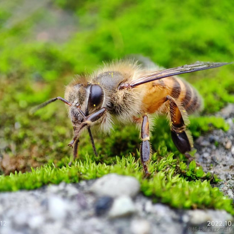薛定谔的猫酱于2022-10-01 17:41发布的图片