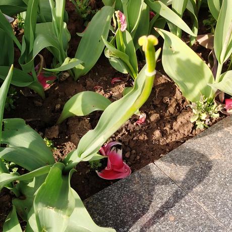 嘿哈1856872于2022-04-16 08:15发布的图片