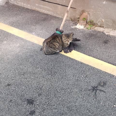 采撷红豆寄思浓于2022-12-15 16:08发布的图片