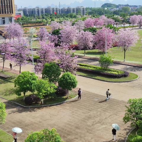 zzzsleep于2022-04-30 14:33发布的图片