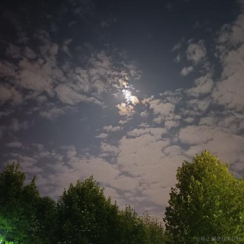 lttstorecom于2022-11-10 13:45发布的图片