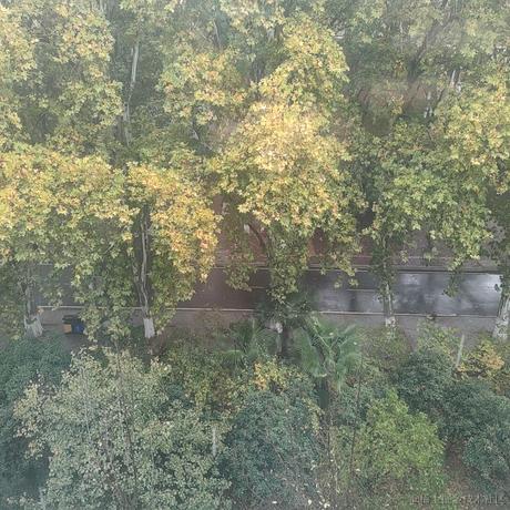 乃王木木不困于2022-11-18 12:14发布的图片