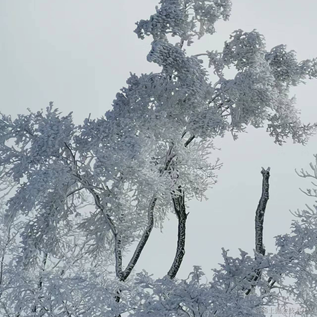 Sorin_joe于2022-11-27 19:35发布的图片