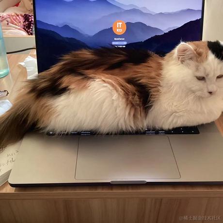 Zerlina_ysl于2022-12-02 23:49发布的图片