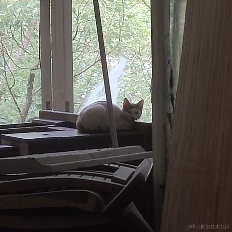 困困困困困于2022-11-23 12:11发布的图片