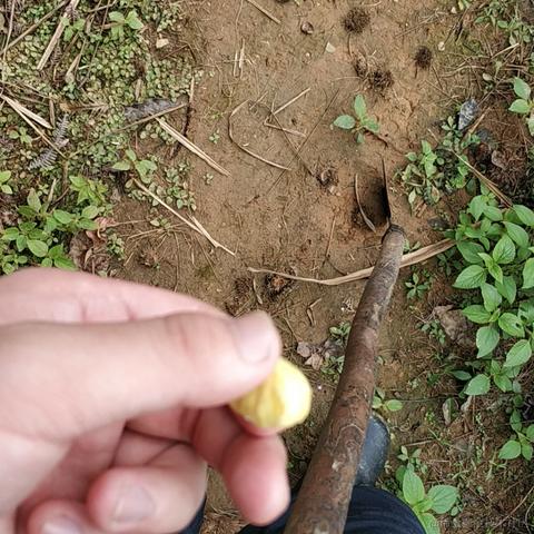 wangly19于2020-10-05 11:45发布的图片