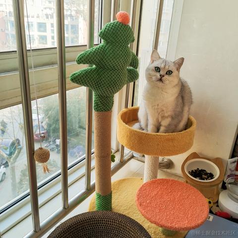 一光光一于2022-12-04 03:11发布的图片