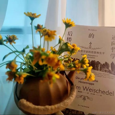 秋天的叶子于2023-06-28 08:36发布的图片