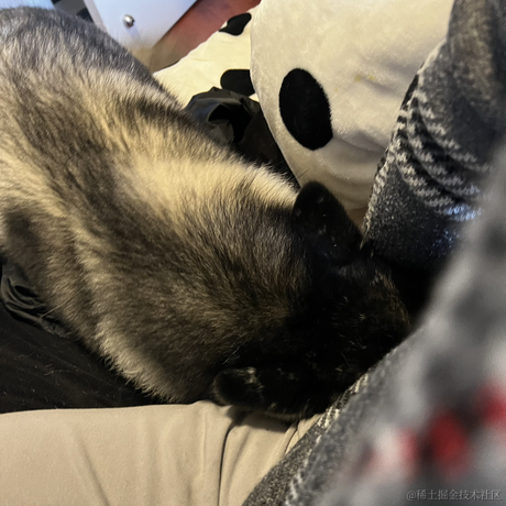 王老狮于2022-02-19 12:24发布的图片