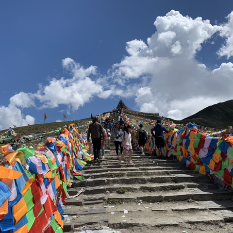 半散人于2020-08-24 09:40发布的图片