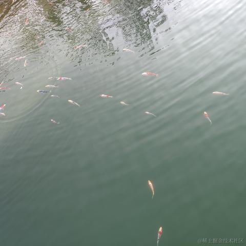 远远619于2022-11-20 10:29发布的图片