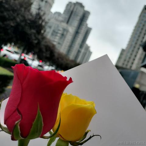 amiable于2023-04-08 16:31发布的图片
