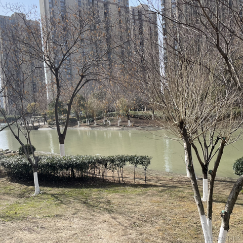 BetterMe酱于2023-01-24 12:11发布的图片