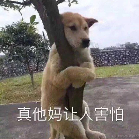 HHAZJNLJQ于2022-09-23 10:59发布的图片