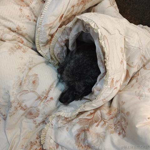 今天也在发疯于2022-12-02 19:01发布的图片