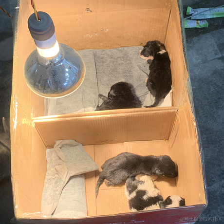 紫色的猪于2022-12-13 23:45发布的图片